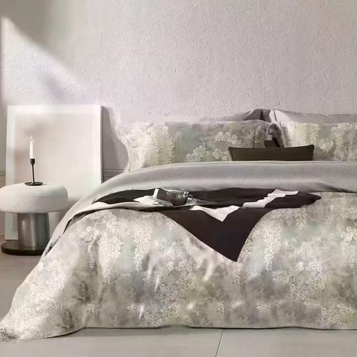 【云上38节】国补再省10%10楼恐龙   100%全棉生态磨毛四件套 若静-灰/ 艾丽-咖 200*230cm   吊牌价1580元   活动价399元 商品图0