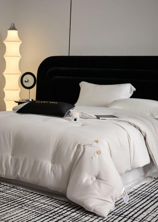 CP竹纤维印花竹棉大豆舒适被1521 商品图0