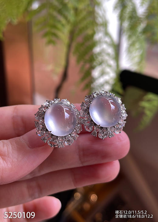 玻璃种蛋面耳钉【5250109】具体价格微信咨询 商品图2