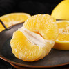 柚子【5斤29元】黄金葡萄柚丨当季现摘 果肉细嫩多汁 商品缩略图5