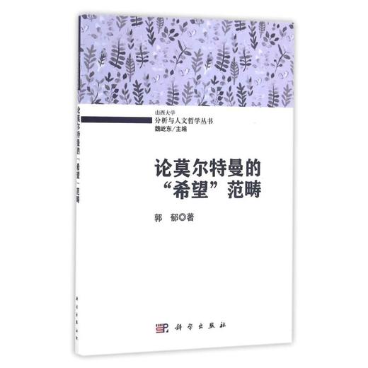 (按需印刷POD版)论莫尔特曼的希望范畴 商品图0