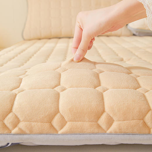 自然醒德芙绒记忆棉两用5厘米床垫垫子LN 商品图10