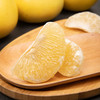 柚子【5斤29元】黄金葡萄柚丨当季现摘 果肉细嫩多汁 商品缩略图6