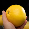 柚子【5斤29元】黄金葡萄柚丨当季现摘 果肉细嫩多汁 商品缩略图2