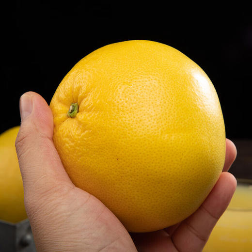 柚子【5斤29元】黄金葡萄柚丨当季现摘 果肉细嫩多汁 商品图2