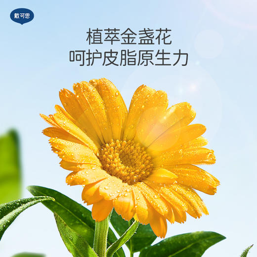 戴可思婴儿金盏花洗发沐浴露2JZ128 商品图5
