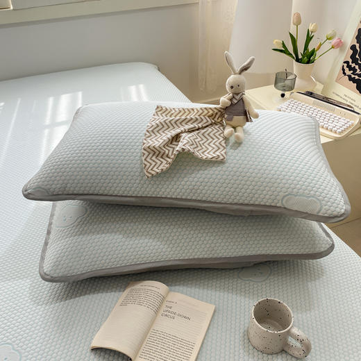 【‍海棠春 凉感豆豆凉席三件套】高克重凉感面料 提花工艺色泽温柔 折叠不变形 3D按摩抚触 收纳方便精美袋装 商品图7