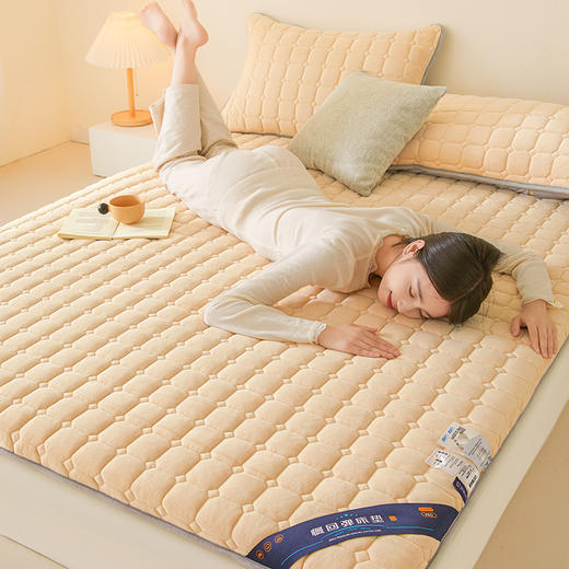 自然醒德芙绒记忆棉两用5厘米床垫垫子LN 商品图7