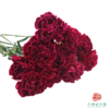 单头康乃馨 派对 10枝一扎 商品缩略图1