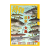 《博物》202510 淡水 大鱼 四方江湖 皆有巨鳞 商品缩略图2