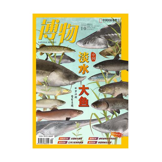 《博物》202510 淡水 大鱼 四方江湖 皆有巨鳞 商品图2