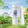 欧舒丹乳木果润唇膏护唇膏保湿滋润无色水润滋养丰弹防干裂4.5g 商品缩略图2