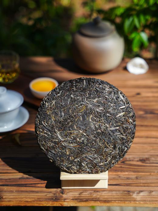 已售罄【不老山单株】2024年春茶仅8棵大古树，树龄在300-500年！357克/饼，仅有50饼分享 商品图2