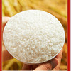 十月稻田匠心甄选寒地五常大米5KG（双标认证） 商品缩略图4