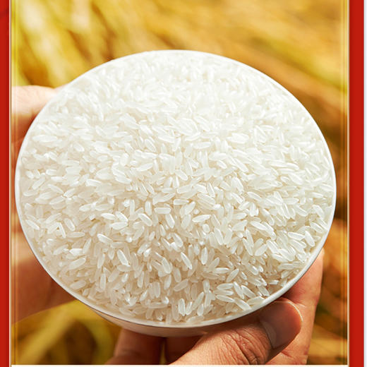十月稻田匠心甄选寒地五常大米5KG（双标认证） 商品图4