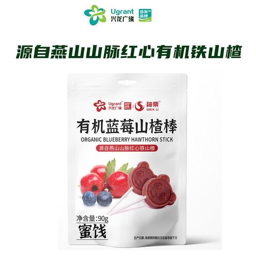 兴龙广缘90g有机蓝莓山楂棒 商品图0