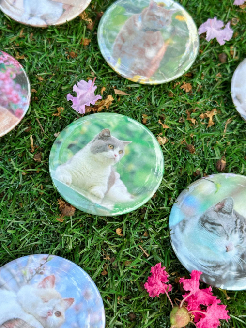 糗糗庄园-猫猫吧唧随机盲盒58mm