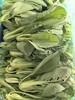小青菜（5元一斤） 商品缩略图0
