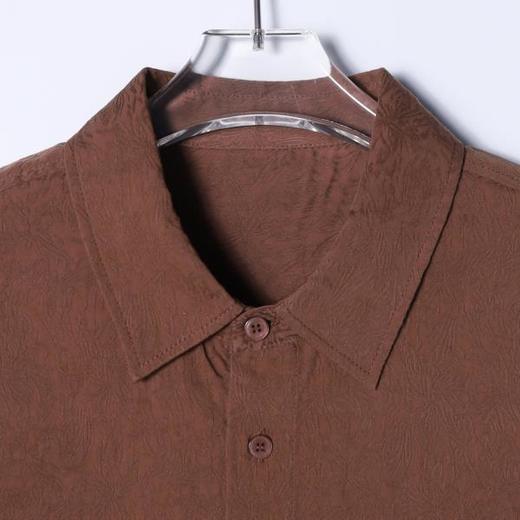 8583606SDSA秋冬新款痞帅男装韩版潮牌提花纽扣翻领长袖衬衫宽松简约衬衣 商品图2