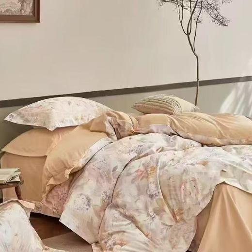 【云上38节】国补再省10%10楼恐龙   100%全棉生态磨毛四件套 若静-灰/ 艾丽-咖 200*230cm   吊牌价1580元   活动价399元 商品图3