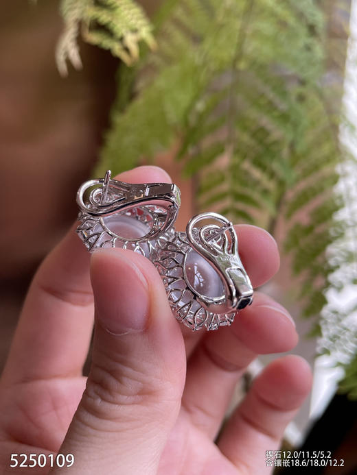 玻璃种蛋面耳钉【5250109】具体价格微信咨询 商品图5