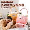 可机洗【打开是被子！合起来是抱枕】可拆卸小手提，便携提携，多巴胺手提抱枕毯二合一两用追剧抱枕盖毯车载可折叠毯子办公室午睡神器。rb 商品缩略图0