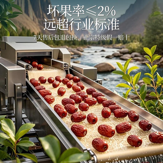 浙疆果新疆灰枣 1kg/箱 商品图3