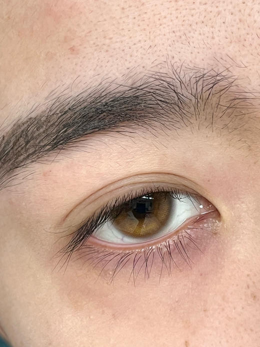 Liliyacon 半年抛 萤火虫光 14.5 自然琥珀棕 商品图4