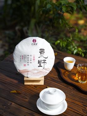 【库存告急！！】【荒野古茶】2025年春茶，近千年树龄，一口就是巅峰能一品其“野韵”，将是何等幸事，周年庆收官成本价的半价放大漏，357克/饼