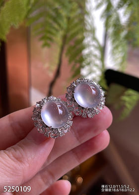 玻璃种蛋面耳钉【5250109】具体价格微信咨询