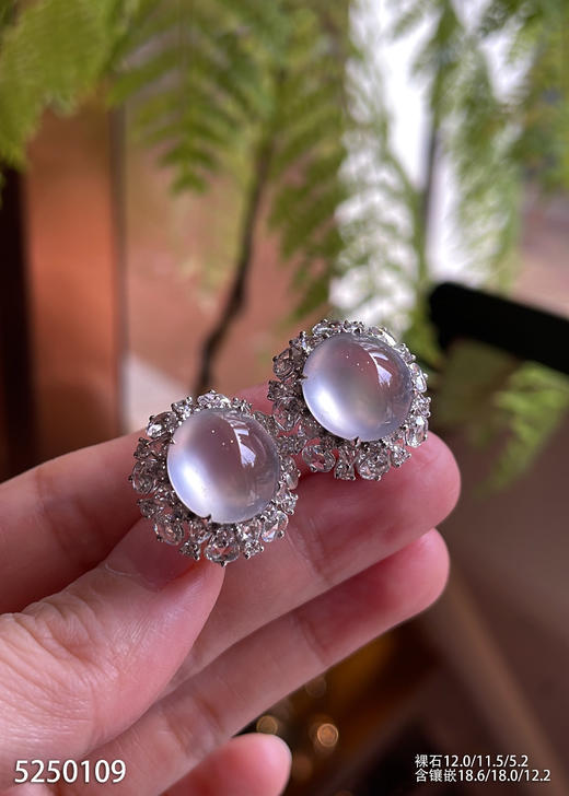 玻璃种蛋面耳钉【5250109】具体价格微信咨询 商品图0