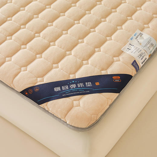 自然醒德芙绒记忆棉两用5厘米床垫垫子LN 商品图14