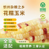 雁门清高花糯玉米220g*8根新鲜真空包装粘香糯甜早餐糯玉米棒 商品缩略图0