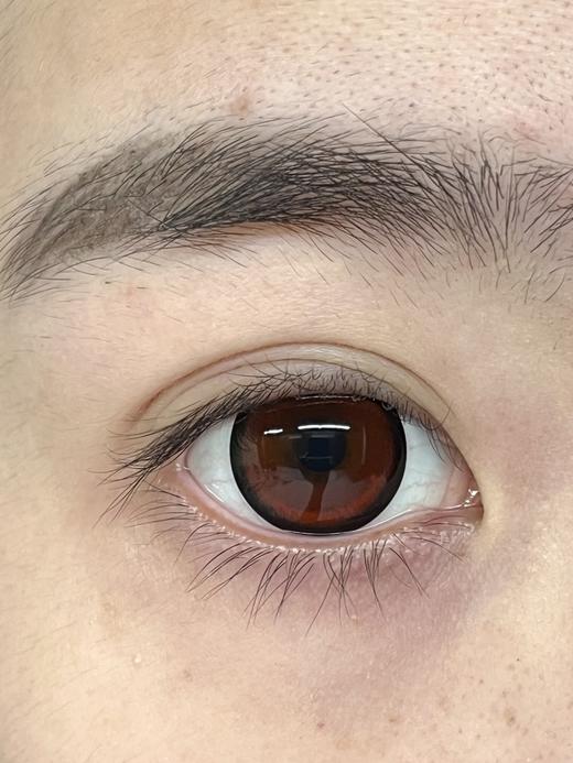 Jumicon旗下 ·玫瑰墓园&甜可可&圆滚滚· 14.5mm白狮参考着色大直径 半年抛2片 商品图1