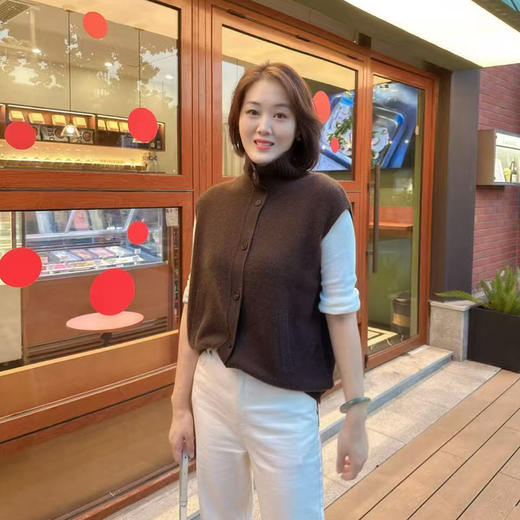 （康赛妮A类纱线）火桐hooton 万能马甲 厚款山羊绒无袖开衫马甲24A055 商品图0