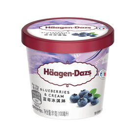 81g哈根达斯蓝莓味冰淇淋