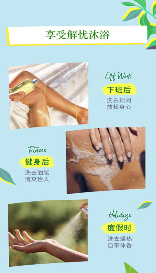 3253581766880  L'OCCITANE欧舒丹  清新马鞭草味沐浴啫喱 500ml 商品图3