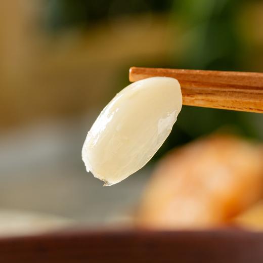 雪源金正兰州鲜百合|6-9年才长成，生吃/入菜/糖水皆宜 商品图8