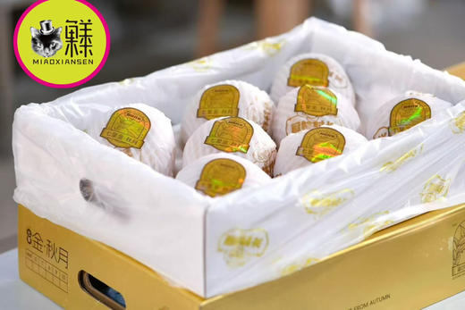 【冰糖秋月梨】礼盒7-9枚入约3.5kg 商品图2