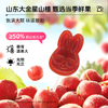 【儿童食品食疗用户不可食用】草牧里 高纤益生元鸡内金山楂棒 9支/袋 酸甜软糯配方干净 商品缩略图1