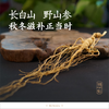 纯正野山参——19-21年/25~28年  长白山一等品  （单支装   7-8克） 泡酒/泡水/煲汤等 商品缩略图0