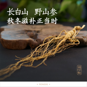 纯正野山参——19-21年/25~28年  长白山一等品  （单支装   7-8克） 泡酒/泡水/煲汤等