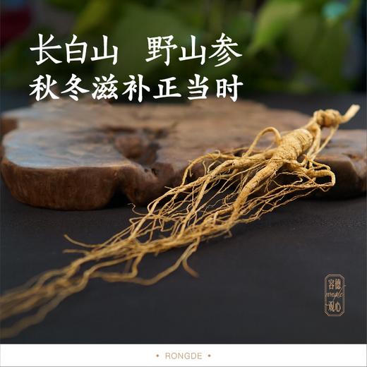 纯正野山参——19-21年/25~28年  长白山一等品  （单支装   7-8克） 泡酒/泡水/煲汤等 商品图0