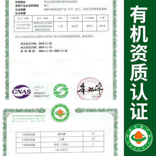 有机榆黄菇100g东北有机干货菌菇特产肉质醇香0添加包邮 商品图1