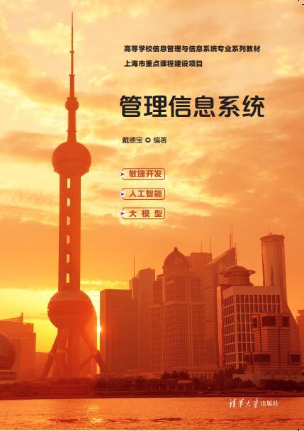 管理信息系统 商品图0