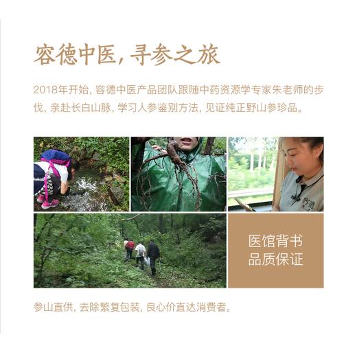 纯正野山参——19-21年/25~28年  长白山一等品  （单支装   7-8克） 泡酒/泡水/煲汤等 商品图4