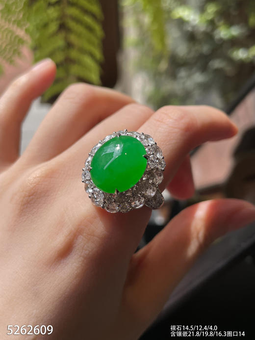 冰艳绿蛋面戒指【5262609】具体价格微信咨询 商品图1