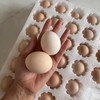 【一周发一次】【竹林散养土鸡蛋】竹林散养刨刨鸡 蛋清浓稠 蛋黄密度结实 个头均匀 商品缩略图2