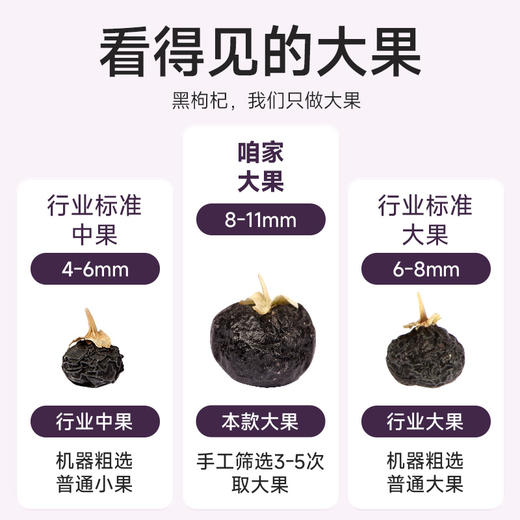 罐装黑枸杞 商品图11
