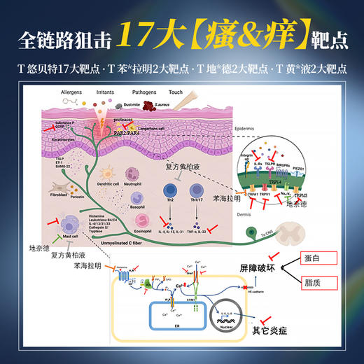 悠贝特舒润止痒乳液 商品图3